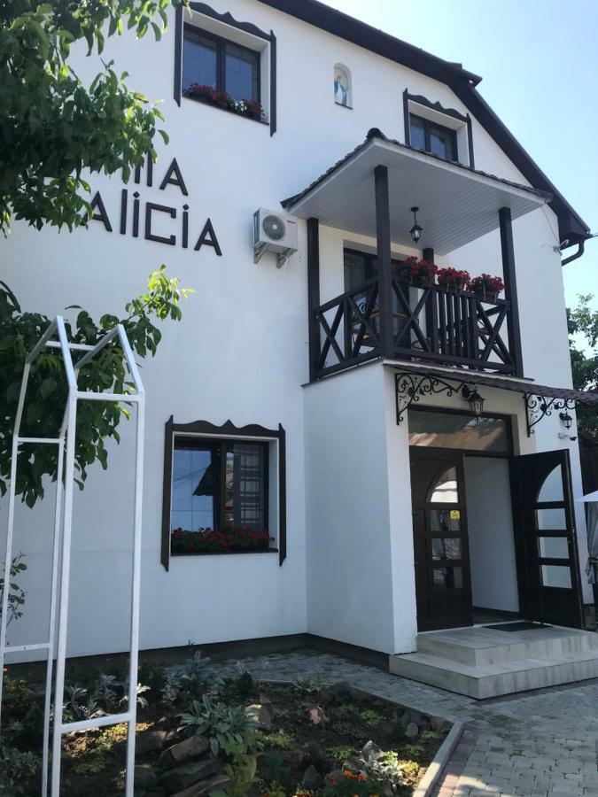 Villa Galicia Berehove  Buitenkant foto